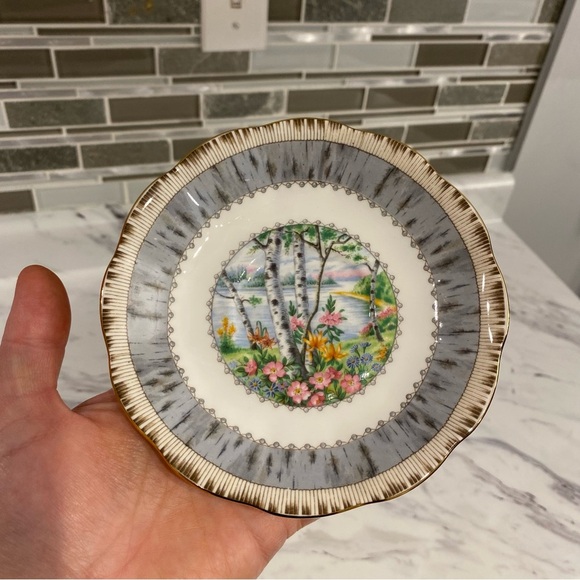 Vintage Royal Albert Silver Birch bone china teacup & saucer - Picture 4 of 12